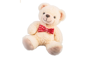 Obraz premium teddy bear with heart