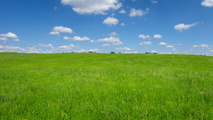 Fototapeta premium Sunny countryside landscape with green grass and blue sky with fluffy clouds