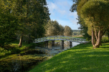 Fototapeta premium A wooden bridge over the pond 