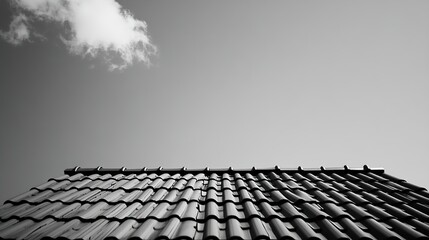 Fototapeta premium Black and White Monochromatic Roof Tiles and Sky Photography