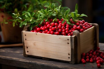Fresh ripe Bearberrys in wooden crate