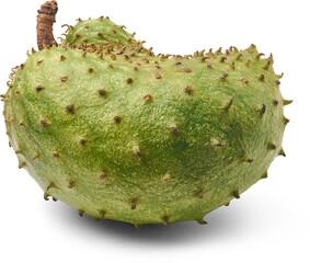 close-up of soursop or annona fruit isolated white background, tropical large green spiky outer...