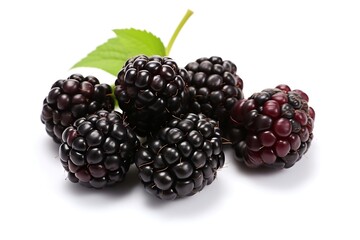 Blackberry isolated on white background