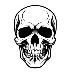 Obraz premium art hand drawn human skull