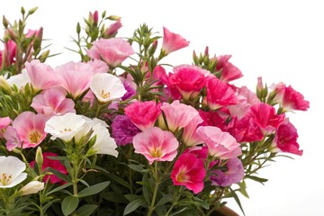 Vibrant Godetia Clarkia farewell to spring flower arrangement, flowers, spring, flower crowns, godetia clarkia, floral