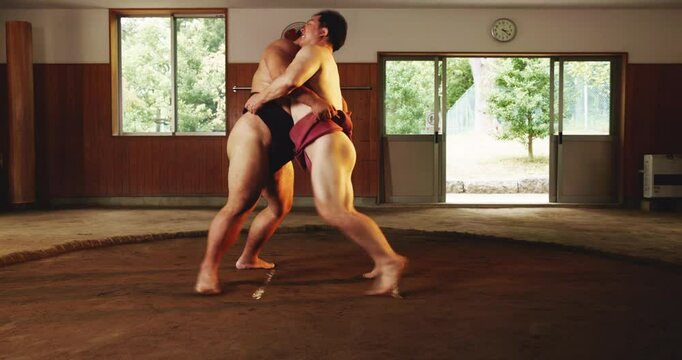 Fighting, sumo or people in grappling training for practice exercise, workout or challenge. Asian tradition, wrestling or strong Japanese men in match together for physical combat technique in Japan