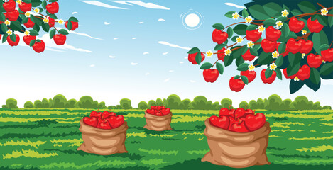 A bountiful apple harvest in a picturesque countryside setting.