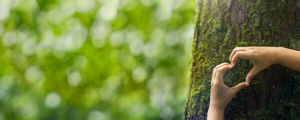 Close-up hands touching a tree with moss in the forest. Environmental concept. Nature conservation. Forest ecology. World environment day. Forest nature. Green background. Heart shape hands.