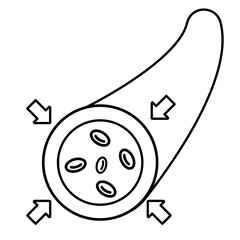 vasoconstriction Blood Vessel icon