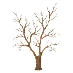 Obraz premium Bare deciduous tree silhouette. Isolated watercolor hand drawn leafless tree. Natural object from the forest landscape constructor set for winter or fall season background or scenery creating.