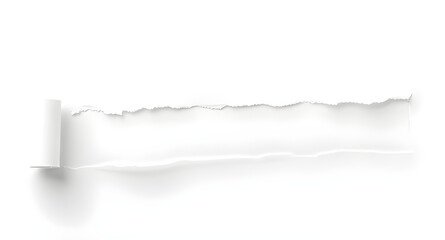 torn paper white background . Text space 