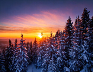A breathtaking winter sunset illuminates a snowy forest of tall pine trees, creating a magical scene with a vibrant sky and a sense of tranquility