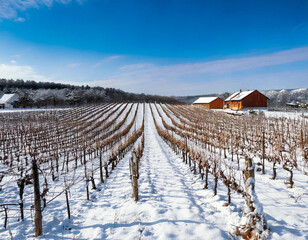 Winter wonderland: snow-kissed mountains, frozen fields, and a clear blue sky