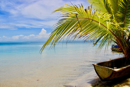 a tropical beach with lush palm trees and clear lagoon bocas del torro panama