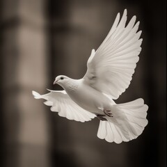 Fototapeta premium A side view of a white dove in flight, with radiant sunlight filtering through its outstretched wings, symbolizing peace and purity, as it moves to the right. 