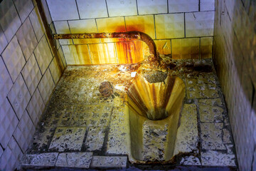 Eastern Europe, Ukraine, Pripyat, Chernobyl. toilet area.