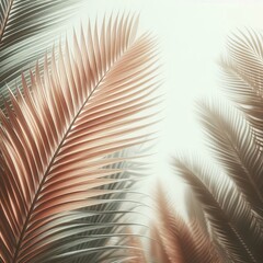 Fototapeta premium Soft Focus Palm Leaves Palm leaves gently blurred with a white b