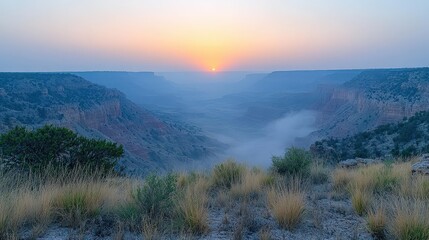 A serene sunrise over a canyon, shrouded in mist and framed by grass and shrubs.