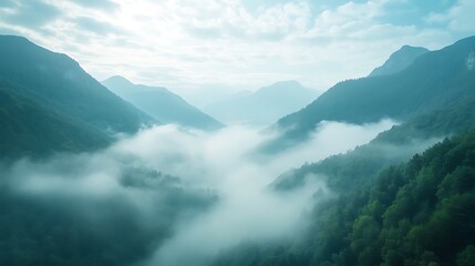 A serene shot of a fog-covered valley with mountain tops peeking through in the distance