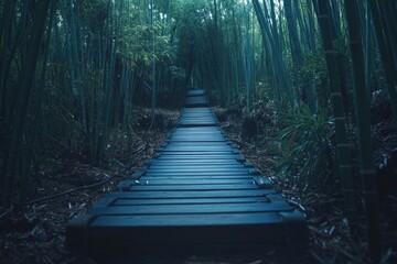 Obraz premium Bamboo Forest Path