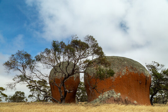 Granite boulders or inselbergs known as Murphy's Haystacks