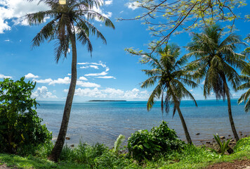 Obraz premium Serene tropical ocean view with palm trees and clear blue skies at midday