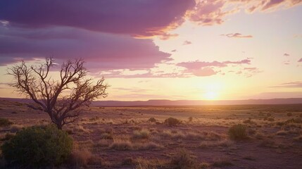 Majestic Desert Skyscape at Dusk: Vibrant Oranges and Purples in Ultra-Detailed Beauty