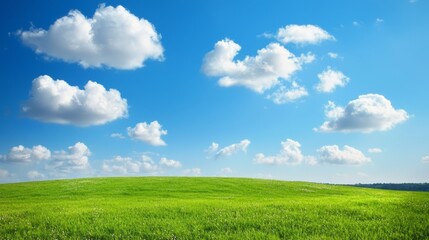 Fototapeta premium Serene Panoramic Skyscape - Clear Blue Sky, Fluffy Clouds, and Green Fields Below, Ultra-Detailed Nature Landscape View