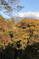 The trees leaves on the mountains were starting to change color