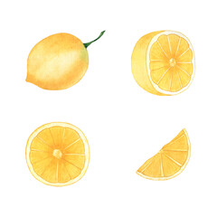 Watercolor set of lemons. Whole fruit and lemon slices.