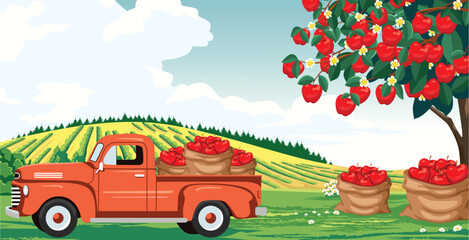A red truck full of apples in a beautiful apple orchard.