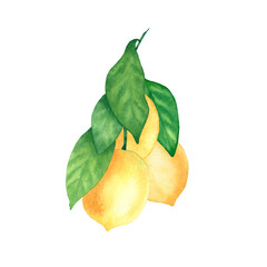 Watercolor sprig with lemons. Ready image for printing on postcards, invitations, fabrics.