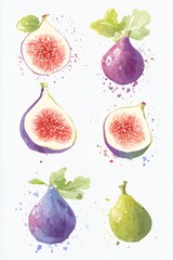 Watercolor figs, purple and green, whole and halved. Delicious!