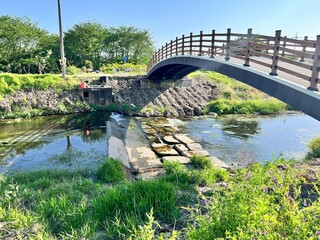 Fototapeta premium 자연풍경 여유와 행복한 이미지