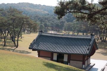 대한민국의 조선의 옛 한옥 건물 기와집 주변으로 광활한 잔디 마당과 소나무와 산이 어우러진 자연 환경 배경화면