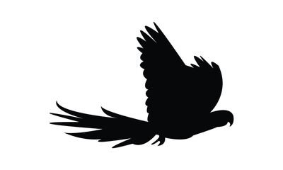 Fototapeta premium Flying Parrot Silhouette Design And Vector Illustration. 