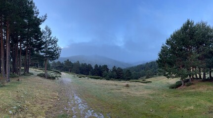 Forest clearing with misty mountains and pine trees under a cloudy blue sky at dawn.