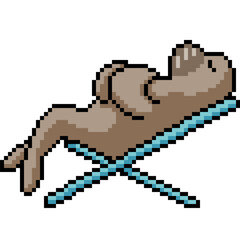 Obraz premium pixel art of seal beach nap