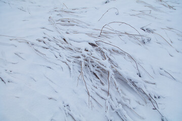 A snowy field with a bunch of branches and twigs on the ground