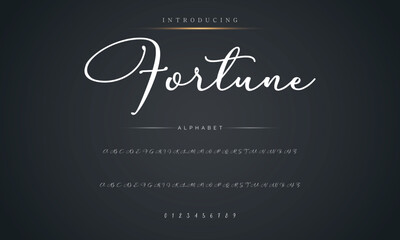 Signature Font Calligraphy Logotype Script Brush Font Type Font lettering handwritten