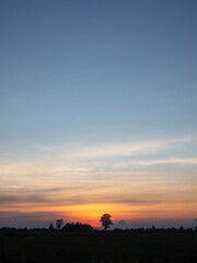 Obraz premium The silhouette of the trees contrasts with the beautiful evening sky.