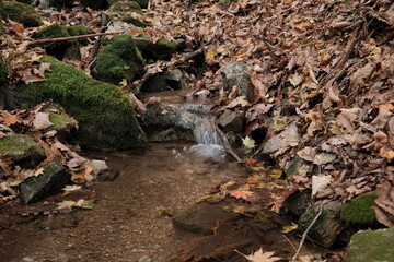 가을 등산로의 산책 숲길의 계곡에서 흐르는 맑은 폭포 개울물 주변으로 붉고 노란 단풍 은행잎 낙엽이 떨어지고 이끼가 무성한 돌이 어우러진 자연 풍경의 배경화면