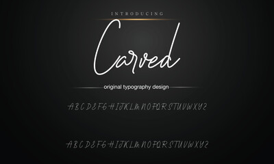 Hand drawn vector alphabet. signature script font. Elegant Signature Font. Best Alphabet Beautiful Calligraphy Signature Font lettering