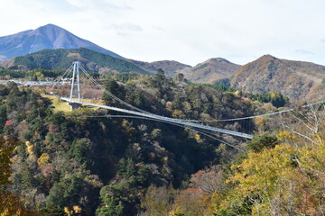九重&ldquo;夢&rdquo;大吊橋