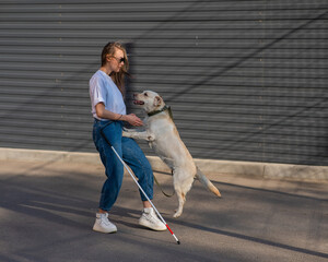 A blind woman walks her guide dog on the street. Girl hugging a labrador. 