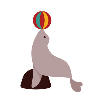 Circus Vector Illustration - Seal