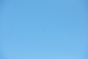 Minimalistic Blue Sky with Flying Birds - Clear, Open Space Concept