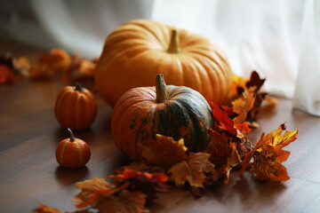 Autumn Pumpkins and Colorful Leaves on Wooden Floor with Soft Light