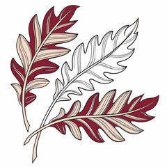 Obraz premium An oak leaf and acorn resting on a clean white background, showcasing their natural textures and colors.
