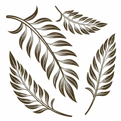 Obraz premium An oak leaf and acorn resting on a clean white background, showcasing their natural textures and colors.